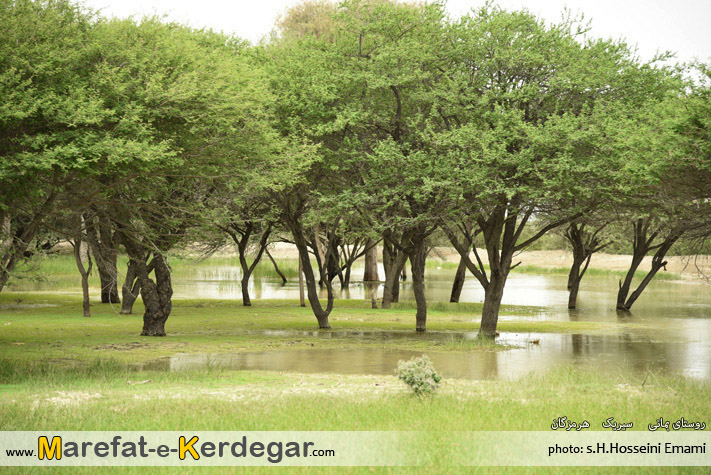 دیدنی های جنوب ایران دیدنی های جنوب ایران