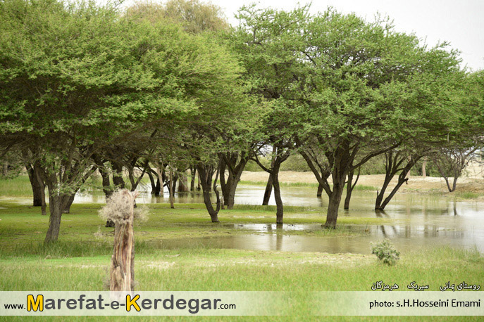 دیدنی های جنوب ایران دیدنی های جنوب ایران