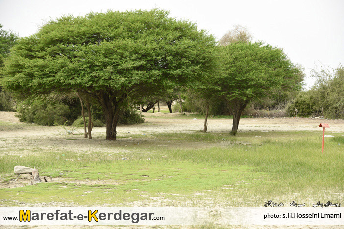 دیدنی های سیریک دیدنی های سیریک