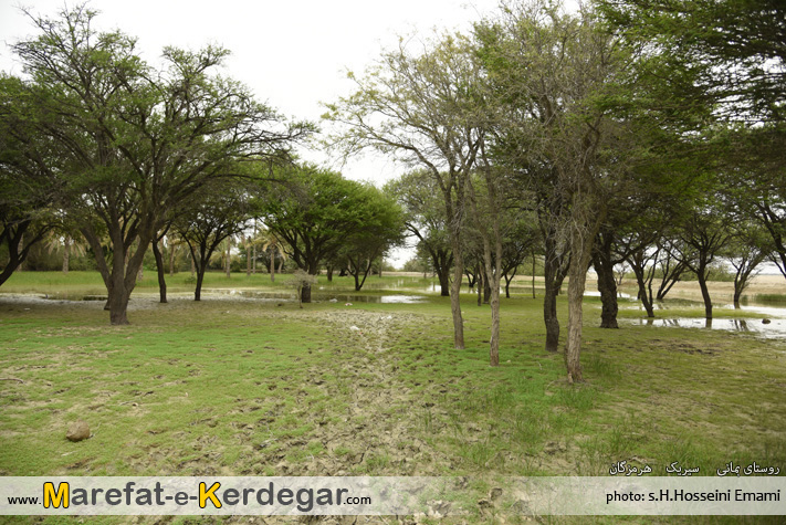 طبیعت سیریک طبیعت سیریک