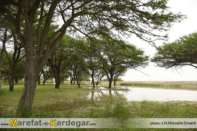 طبیعت بندر سیریک طبیعت بندر سیریک