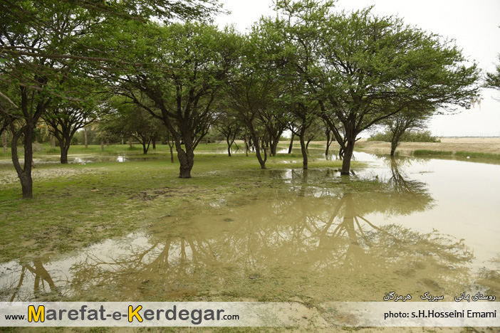 طبیعت بندر سیریک طبیعت بندر سیریک