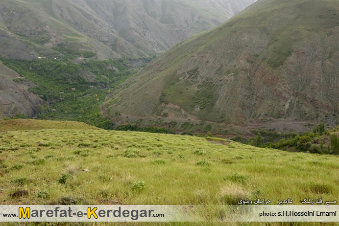 بهار زشک بهار زشک