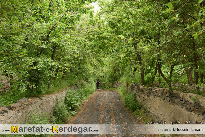 روستای زشک