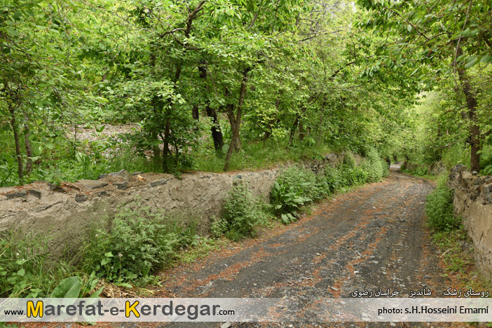 روستای زشک روستای زشک