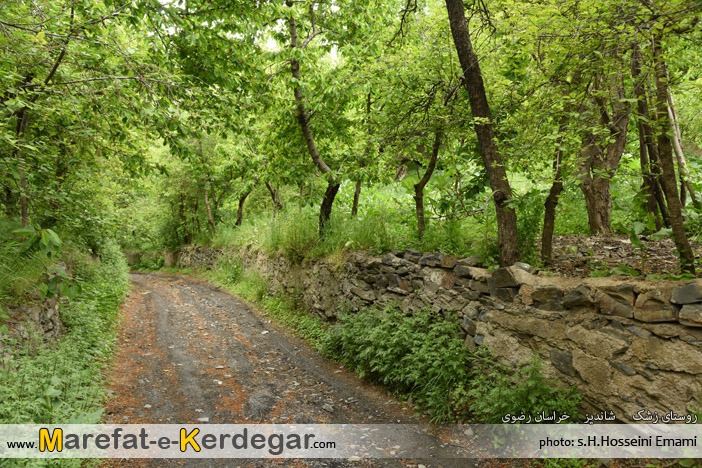 طبیعت شاندیز طبیعت شاندیز