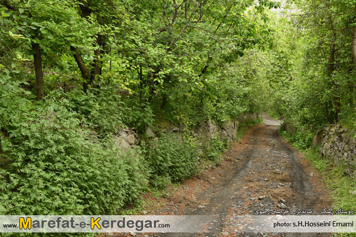 طبیعت خراسان رضوی طبیعت خراسان رضوی