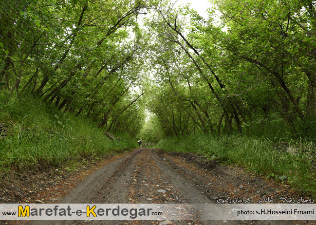 طرقبه شاندیز طرقبه شاندیز