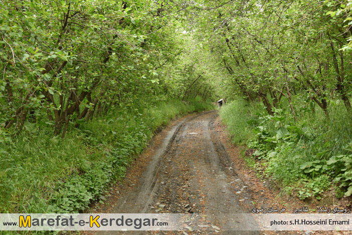 باغات روستای زشک باغات روستای زشک
