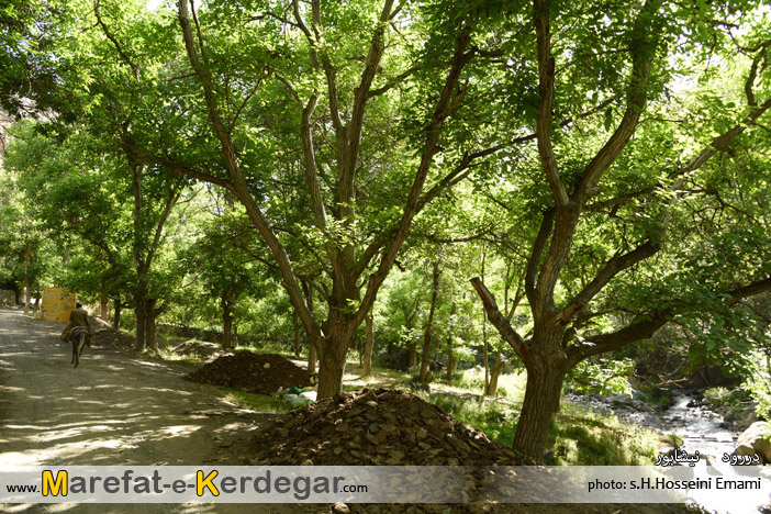 دیدنی های دررود دیدنی های دررود