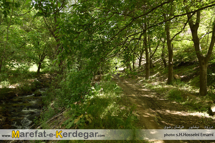 تصاویر دررود تصاویر دررود