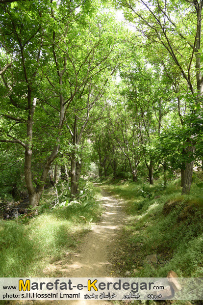 تصاویر دررود تصاویر دررود