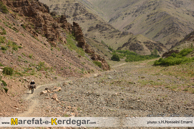 دره خانه سفید دررود دره خانه سفید دررود