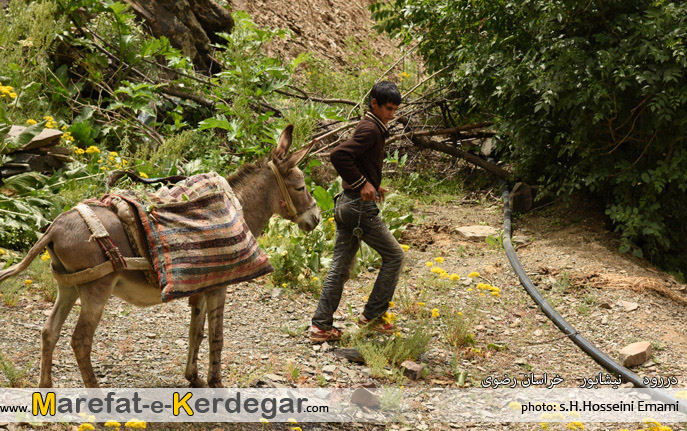 مردم دررود مردم دررود