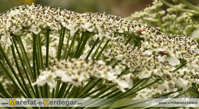 دره های استان خراسان رضوی دره های استان خراسان رضوی