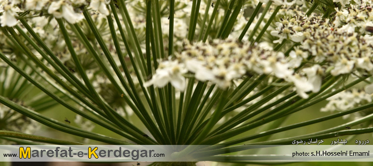 دره های استان خراسان رضوی دره های استان خراسان رضوی