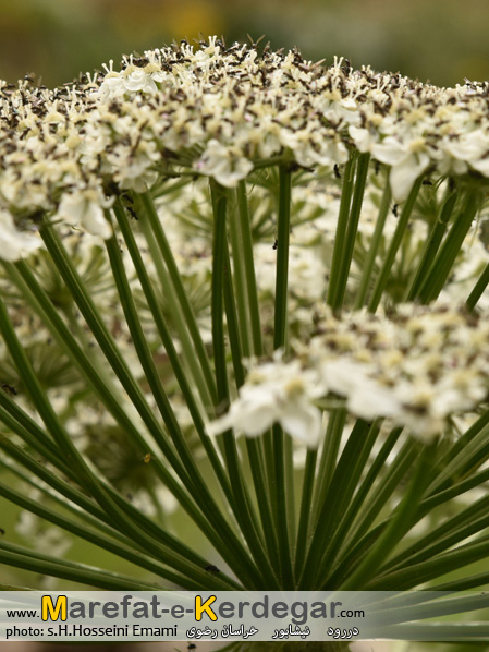 دره های خراسان رضوی دره های خراسان رضوی