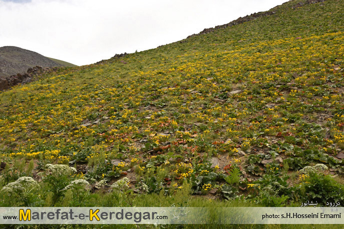 طبیعت نیشابور طبیعت نیشابور