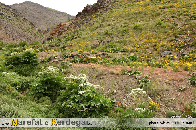 طبیعت نیشابور طبیعت نیشابور