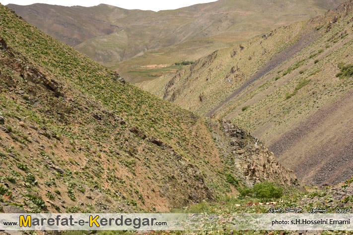 دیدنی های نیشابور دیدنی های نیشابور