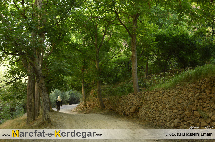 طبیعت دررود طبیعت دررود