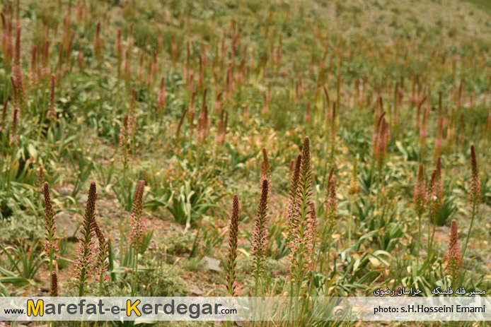 دیدنی های خراسان رضوی دیدنی های خراسان رضوی