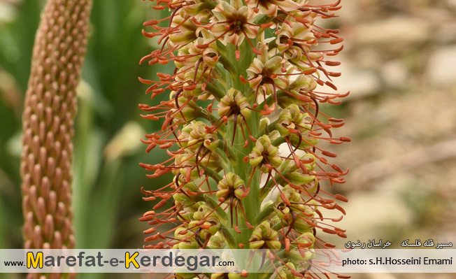 دیدنی های خراسان رضوی دیدنی های خراسان رضوی