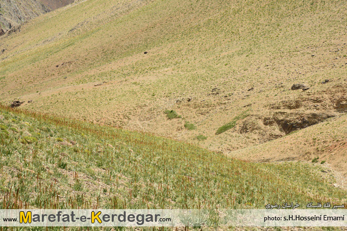 کوهنوردی در نیشابور کوهنوردی در نیشابور