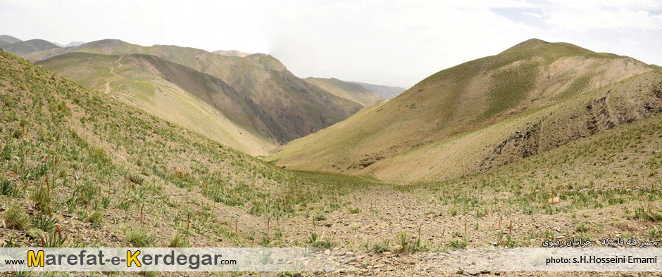 کوهنوردی کوهنوردی