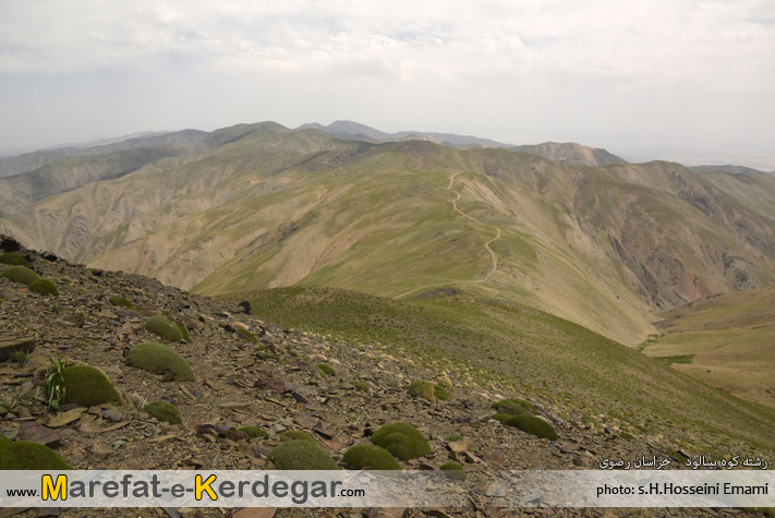 خط الراس بینالود خط الراس بینالود