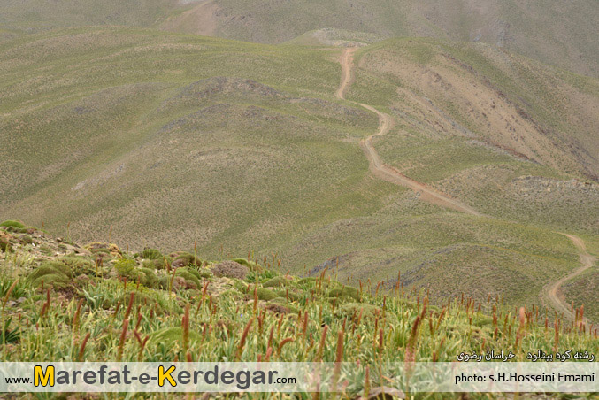 رشته کوه بینالود رشته کوه بینالود