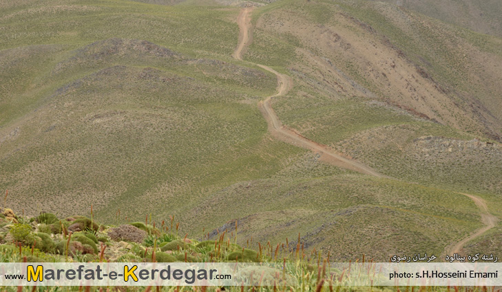 رشته کوه بینالود رشته کوه بینالود