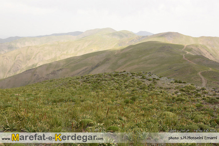 کوه های خراسان رضوی کوه های خراسان رضوی