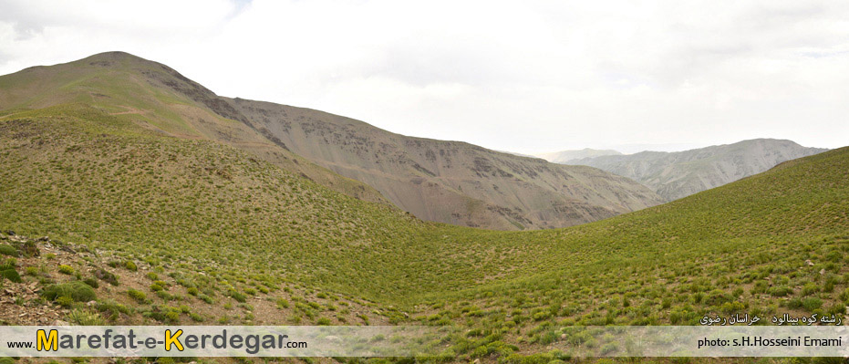 طبیعت بینالود طبیعت بینالود