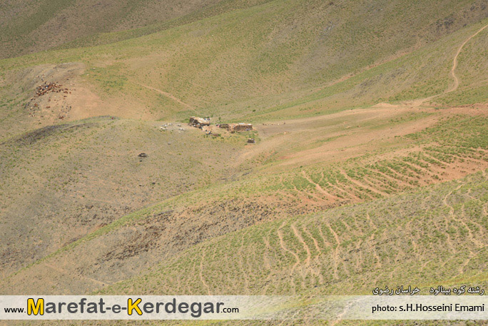 عشایر بینالود عشایر بینالود