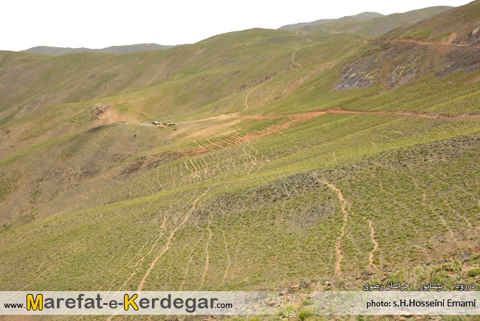 جغرافیای بینالود جغرافیای بینالود