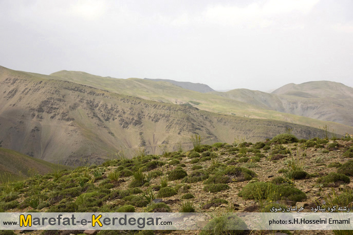 کوهستان بینالود کوهستان بینالود