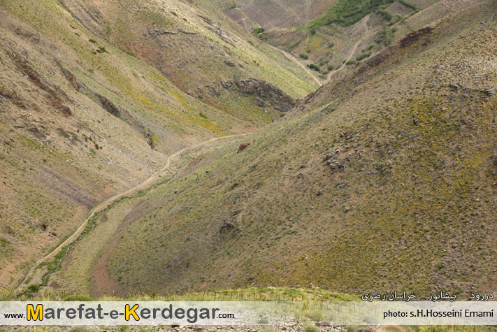 گردشگری نیشابور گردشگری نیشابور