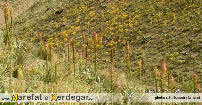 جاذبه های طبیعی خراسان جاذبه های طبیعی خراسان