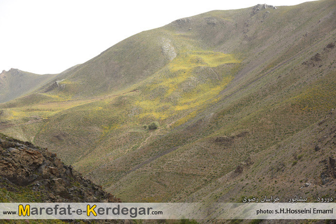 طبیعت نیشابور طبیعت نیشابور