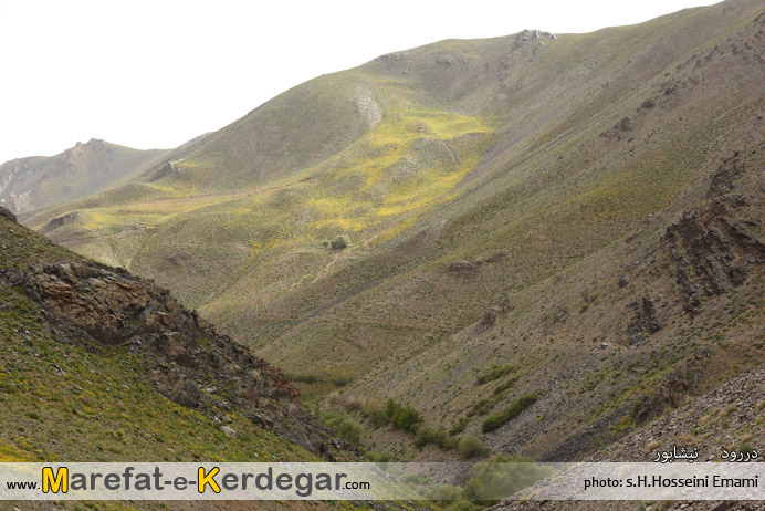 طبیعت نیشابور طبیعت نیشابور