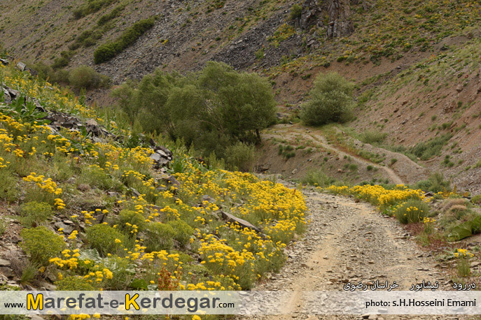 طبیعت نیشابور طبیعت نیشابور