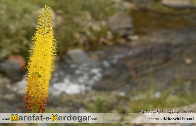 جاهای دیدنی خراسان جاهای دیدنی خراسان