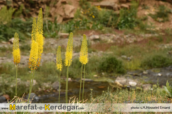 جاهای دیدنی خراسان جاهای دیدنی خراسان