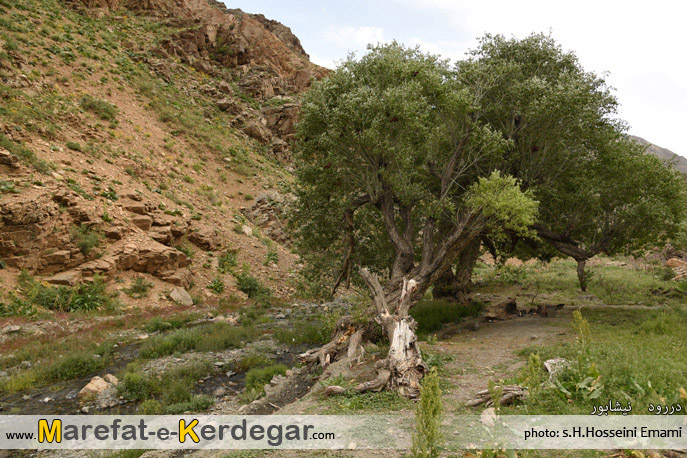 جاهای دیدنی استان خراسان رضوی جاهای دیدنی استان خراسان رضوی