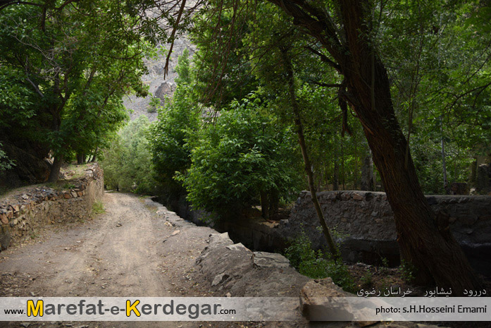 باغات دررود باغات دررود