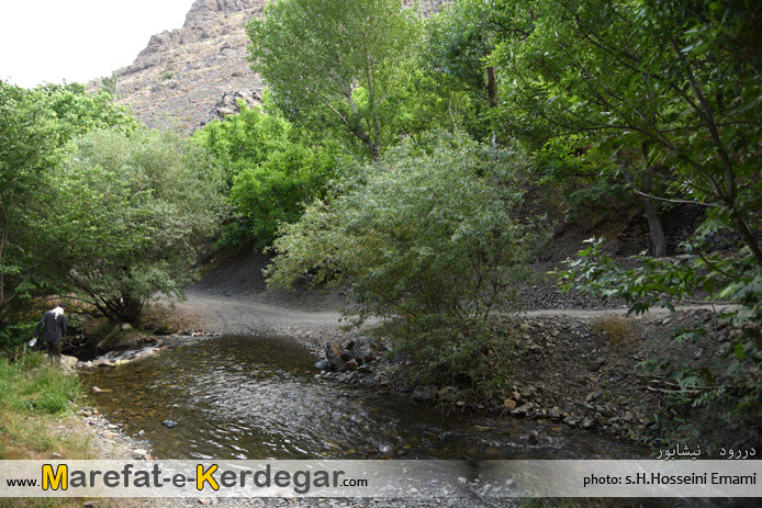 کوچه باغ های دررود کوچه باغ های دررود