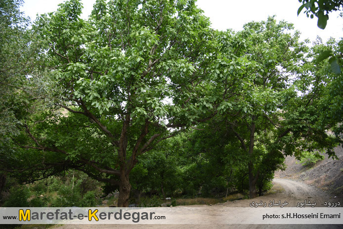 دره دررود دره دررود