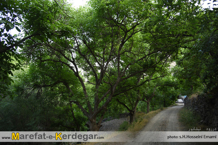 دره دررود دره دررود