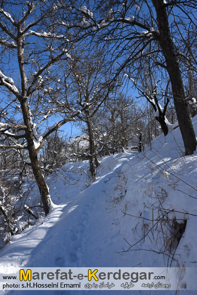 زمستان ایران